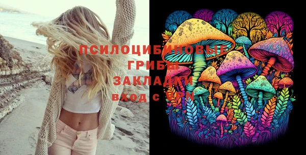 дживик Богородицк