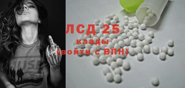 дживик Богородицк