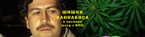 дживик Богородицк
