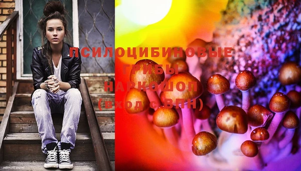 mdma Богородск