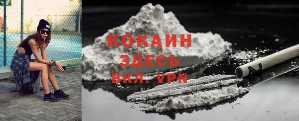 дживик Богородицк