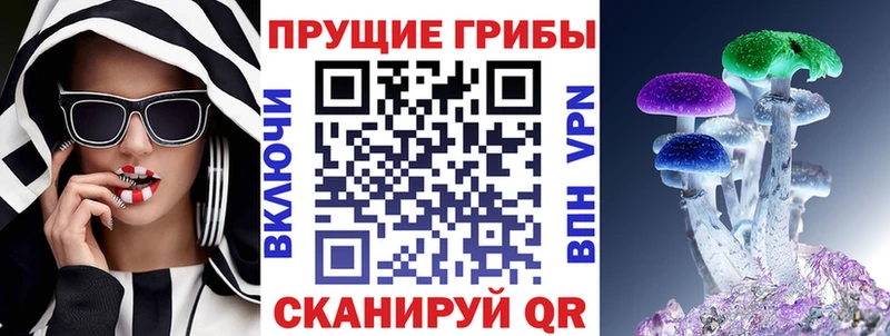 купить закладку  Дятьково  ссылка на мегу   Галлюциногенные грибы мицелий 